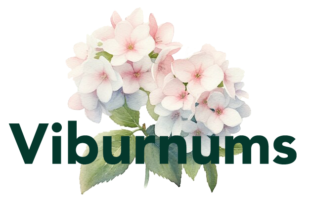 viburnums