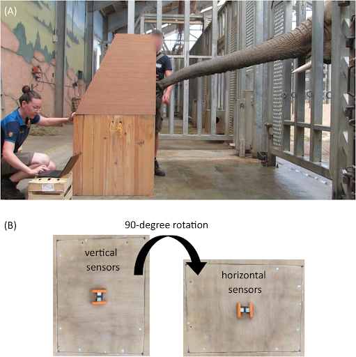 elephant trunk sensors